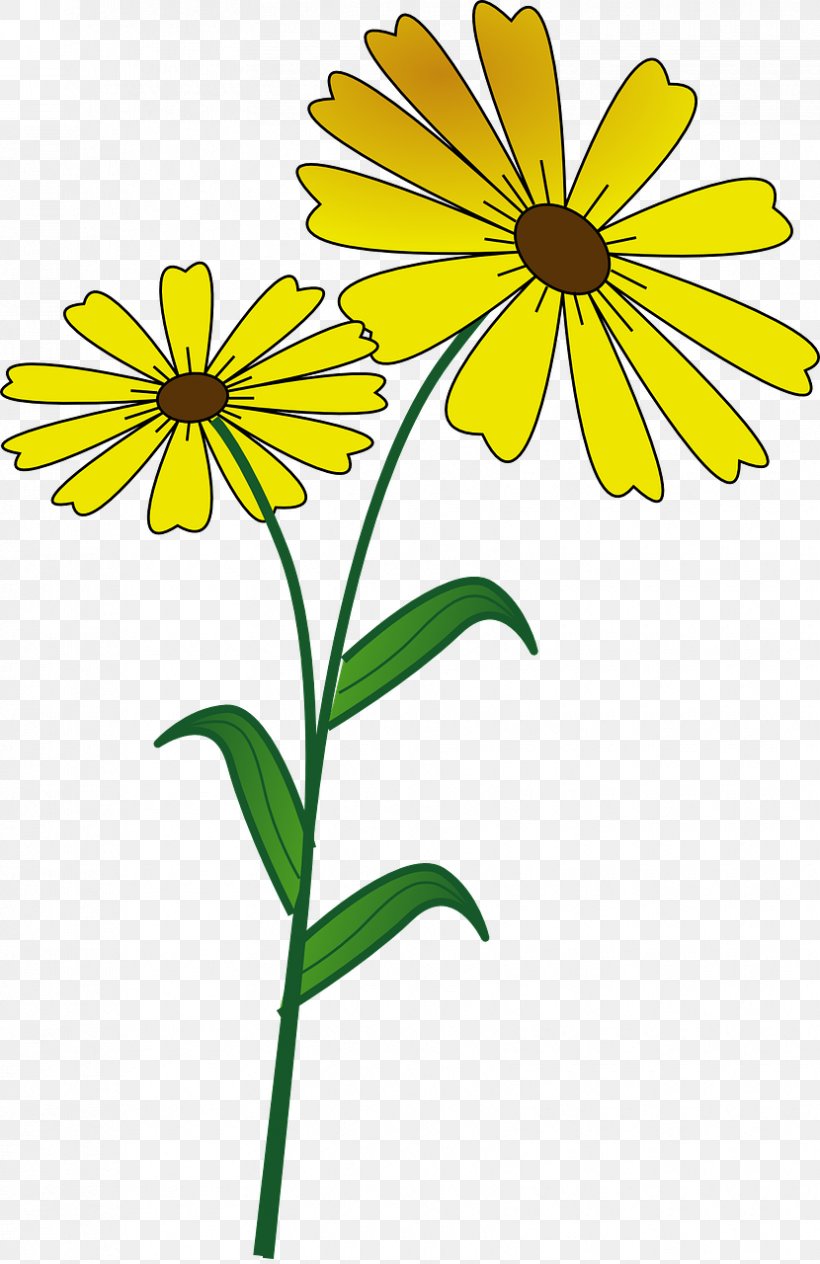 Clip Art, PNG, 830x1280px, Thumbnail, Artwork, Black And White, Common Daisy, Cut Flowers Download Free