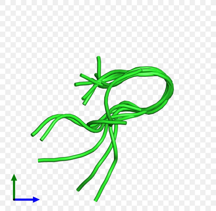 Leaf Plant Stem Green Flower Clip Art, PNG, 800x800px, Leaf, Flower, Grass, Green, Organism Download Free