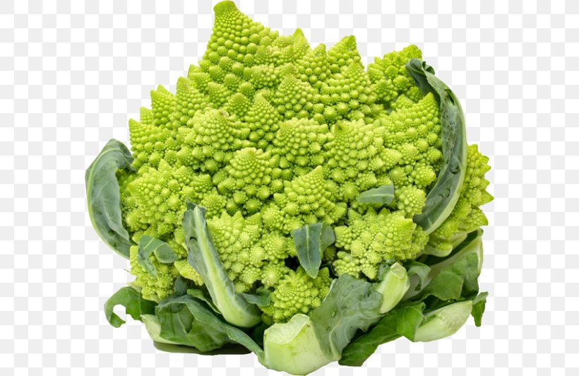 Romanesco Broccoli Cauliflower Broccoflower Spring Greens, PNG, 580x532px, Broccoli, Brassica Oleracea, Broccoflower, Brussels Sprout, Cabbages Download Free