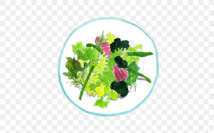 Spring Greens Bean Salad Vegetable Illustration, PNG, 510x510px, Spring Greens, Bean Salad, Dish, European Cuisine, Flower Download Free