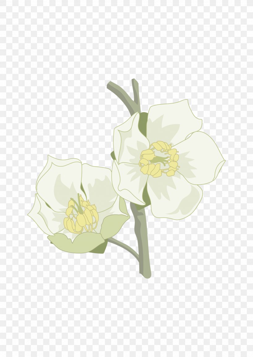 Cut Flowers Floral Design Plant Stem, PNG, 2480x3508px, Flower, Cut Flowers, Family, Flora, Floral Design Download Free
