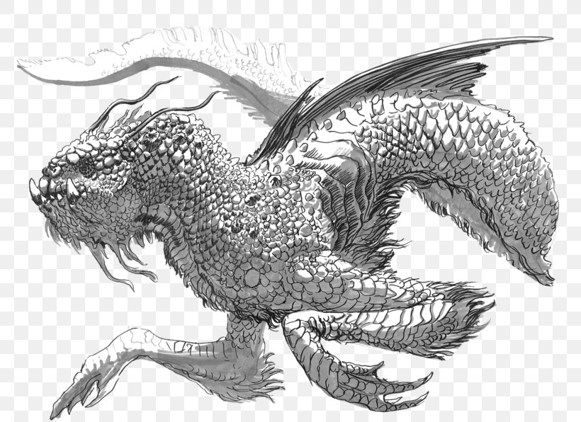 NASDAQ:RDNT Photography Dragon Sketch, PNG, 800x596px, Photography, Art, Behemoth, Black And White, Deviantart Download Free