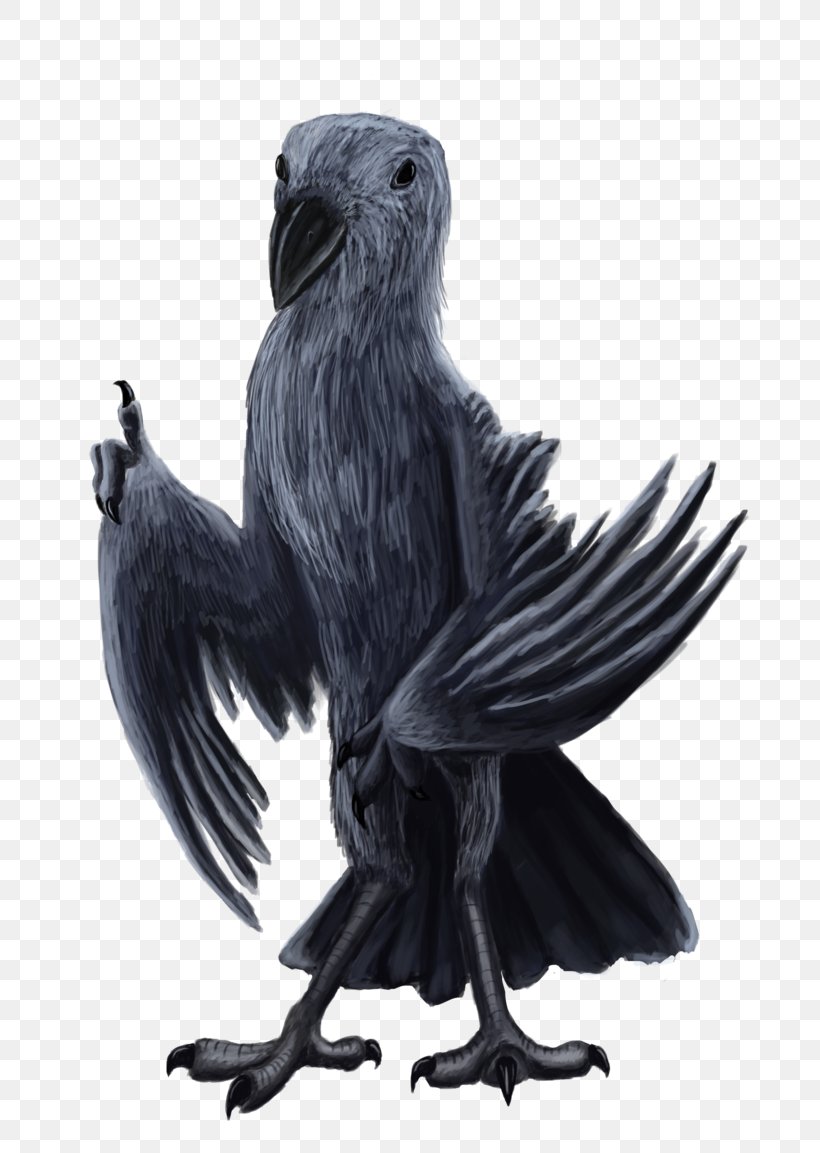 American Crow Common Raven Eagle Vulture Beak, PNG, 692x1153px, American Crow, Beak, Bird, Bird Of Prey, Black And White Download Free