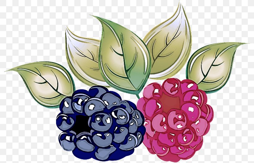 Berry Fruit Plant Blackberry Grape, PNG, 800x526px, Berry, Blackberry, Flower, Food, Fruit Download Free