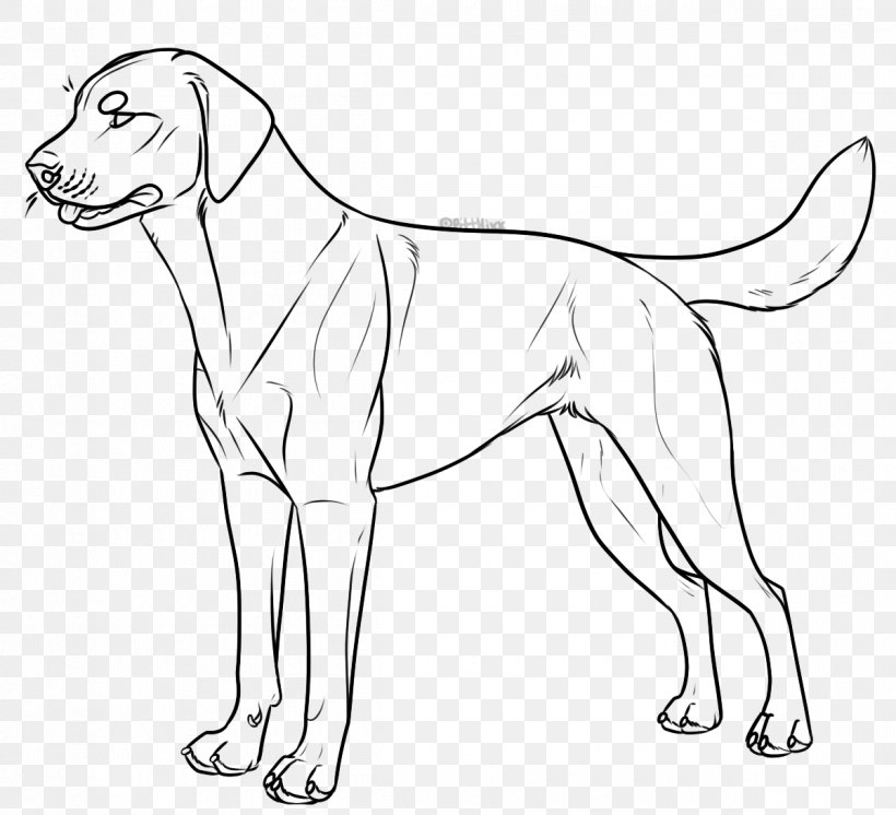 Dog Breed Labrador Retriever Line Art Dog Harness Collar, PNG, 1200x1093px, Dog Breed, Animation, Artist, Artwork, Black And White Download Free
