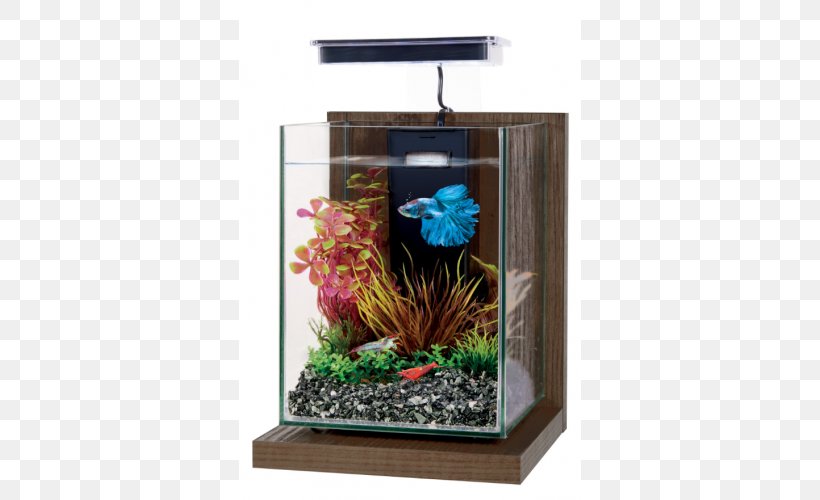 Nano Aquarium Siamese Fighting Fish Tetra Fishkeeping, PNG, 500x500px, Aquarium, Aquarium Decor, Fish, Fishkeeping, Flowerpot Download Free