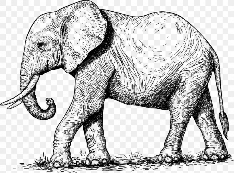 Stock Photography Elephant Clip Art, PNG, 980x727px, Stock Photography, African Elephant, Animal Figure, Black And White, Depositphotos Download Free