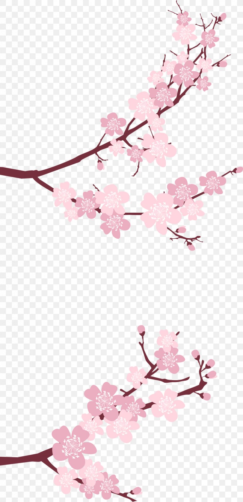 Cherry Blossom Flower Petal, PNG, 830x1716px, Cherry Blossom, Blossom, Branch, Cherry, Floral Design Download Free
