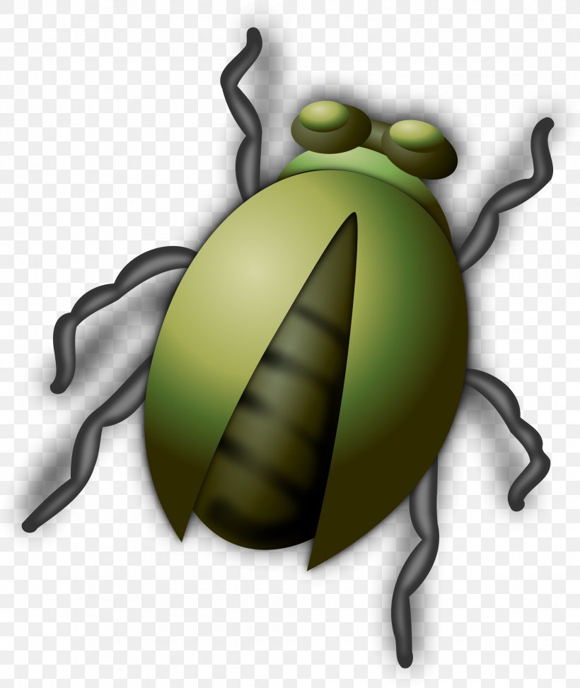 Insect Clip Art, PNG, 2008x2384px, Insect, Amphibian, Arthropod, Bee, Beetle Download Free
