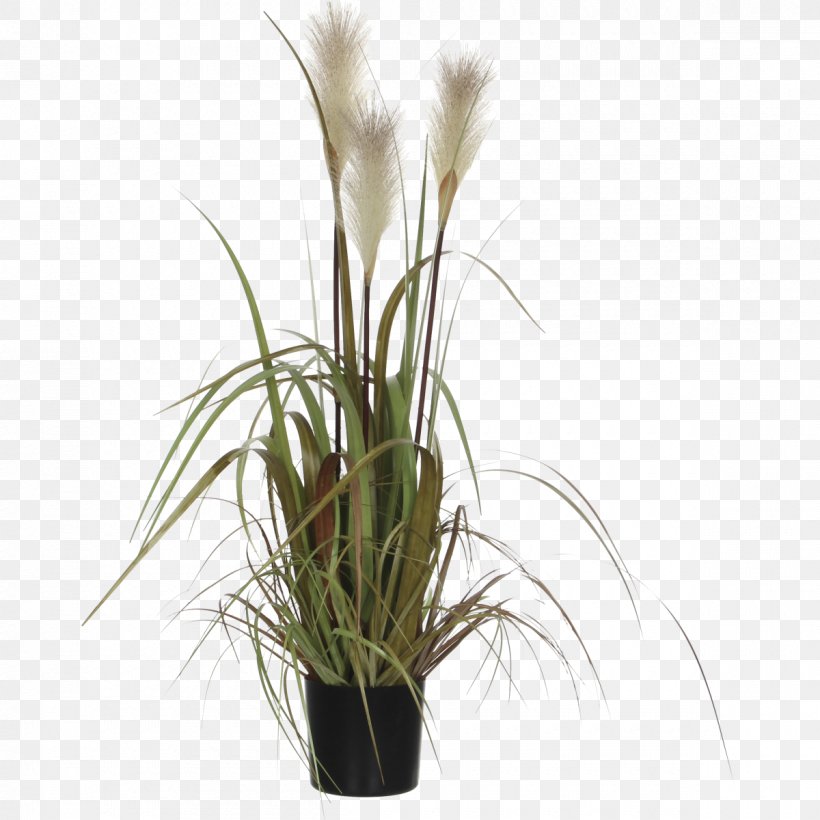 Plastic Flowerpot Grass Mica Garden, PNG, 1200x1200px, Plastic, Beslistnl, Floristry, Flower, Flowering Plant Download Free