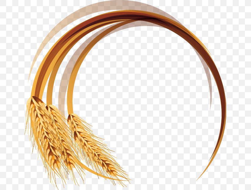 Wheat Euclidean Vector, PNG, 659x619px, Wheat, Body Jewelry, Commodity, Crop, Designer Download Free
