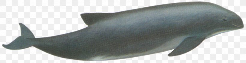 Porpoise Car Cetaceans Dolphin Fish, PNG, 1674x430px, Porpoise, Animal, Animal Figure, Auto Part, Car Download Free