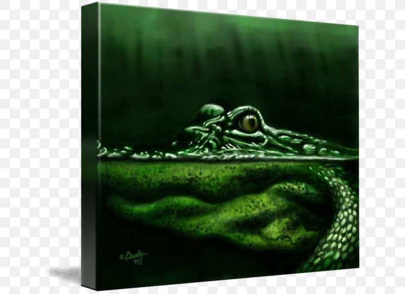 Amphibian Gallery Wrap Alligator Canvas Art, PNG, 650x595px, Amphibian, Alligator, Art, Canvas, Gallery Wrap Download Free