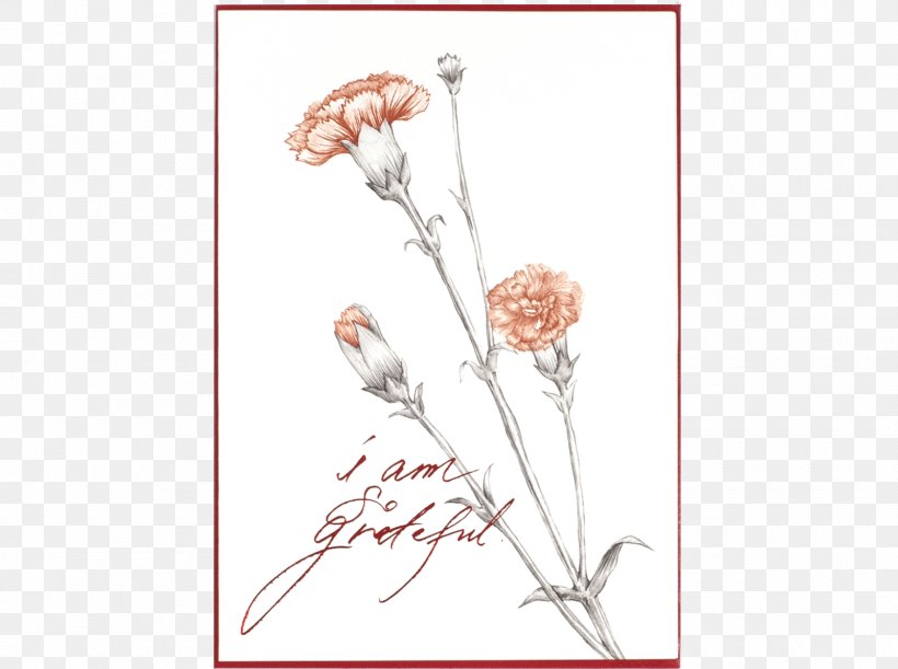 Floral Design Paper Carnation Cut Flowers, PNG, 1600x1194px, Floral Design, Art, Branch, Carnation, Cut Flowers Download Free