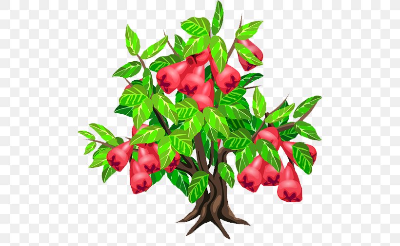 Java Apple Fruit Tree Strawberry, PNG, 503x506px, Java Apple, Berry, Branch, Flower, Flowerpot Download Free