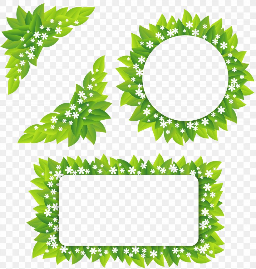 Leaf Green White, PNG, 3958x4167px, Leaf, Area, Border, Flora, Floral Design Download Free