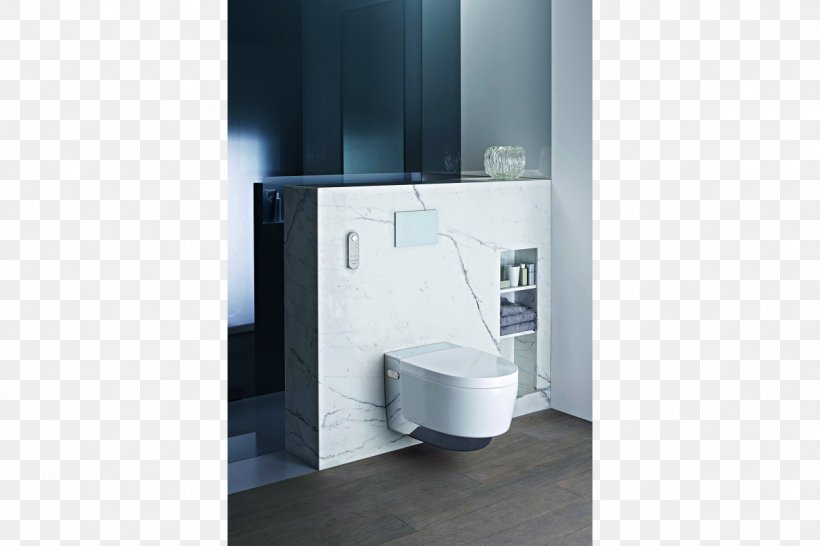 Toilet Bidet Shower Bathroom Washlet, PNG, 1200x800px, Toilet, Architectural Engineering, Bathroom, Bathroom Accessory, Bathroom Cabinet Download Free
