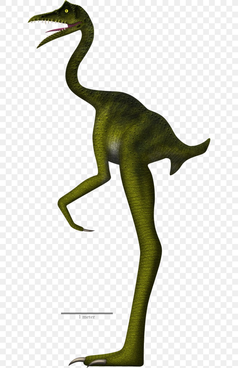 Velociraptor Coelurosauria Anchiornis Tyrannosaurus Guanlong, PNG, 630x1267px, Velociraptor, Anchiornis, Animal, Art, Avialae Download Free
