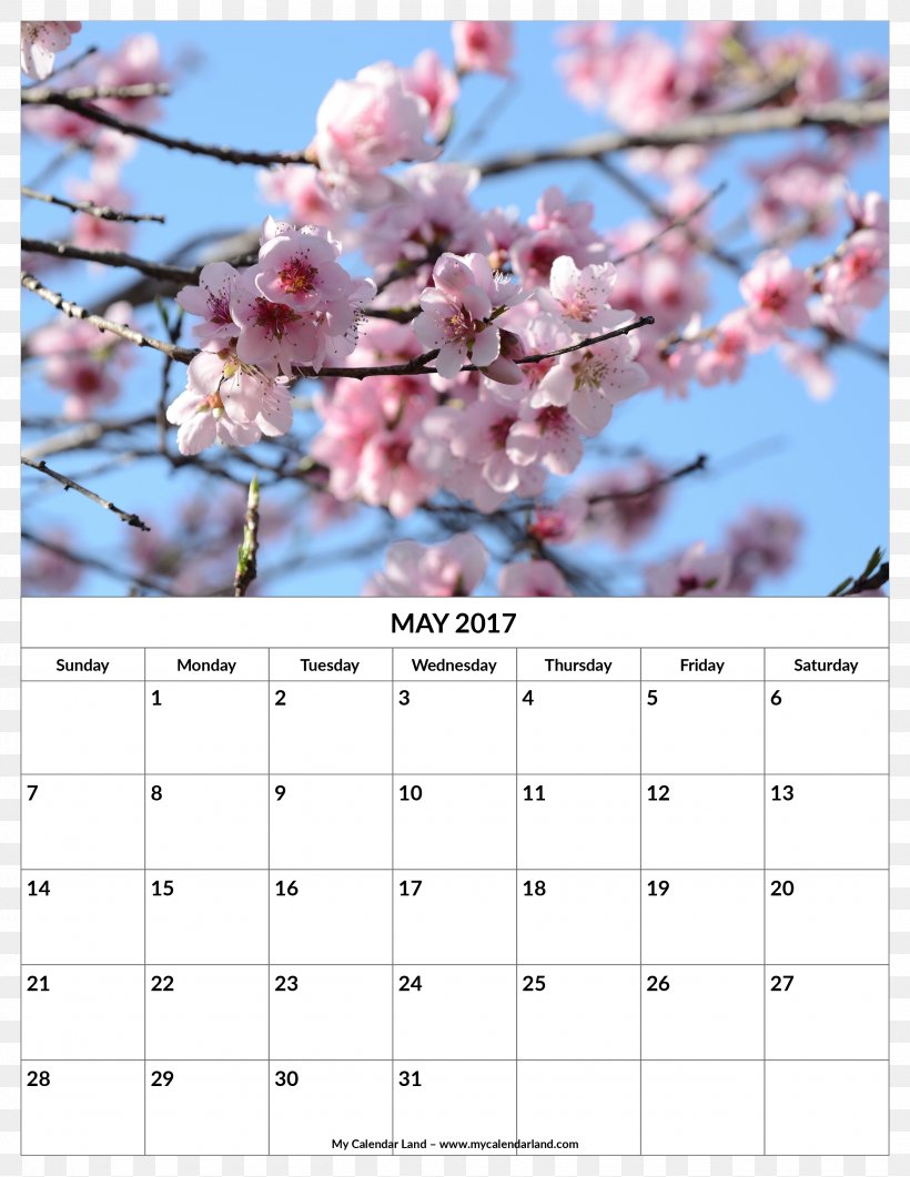 Calendar No Ga Садница To, PNG, 2550x3300px, Calendar, Blossom, Branch, Cherry Blossom, Flower Download Free