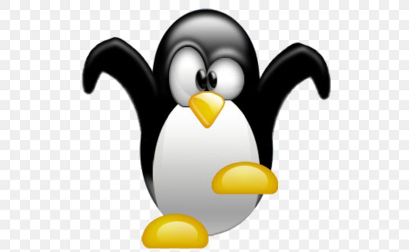 Tuxedo Penguin How-to Desktop Wallpaper, PNG, 506x505px, Tuxedo, Beak, Bird, Flightless Bird, Howto Download Free