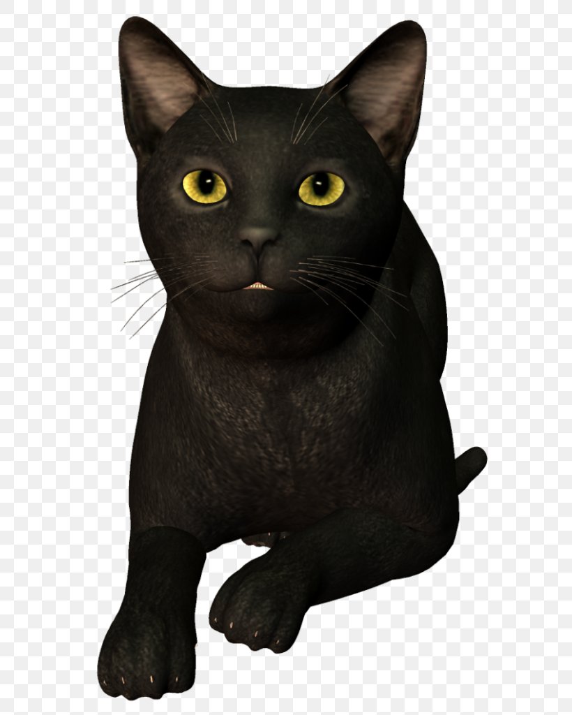 Bombay Cat Black Cat Korat Burmese Cat Chartreux, PNG, 628x1024px, Bombay Cat, American Wirehair, Asian, Black Cat, Bombay Download Free