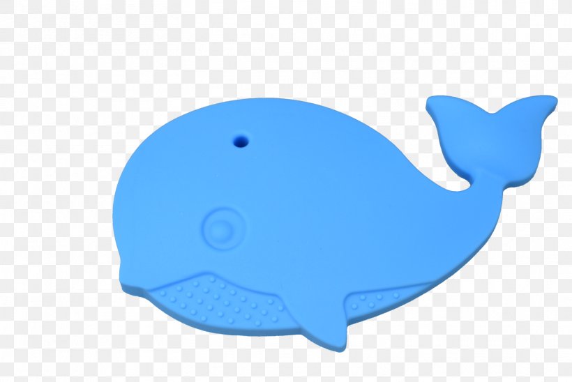 Dolphin Cetacea Deep Sky Blue Marine Biology, PNG, 1616x1080px, Dolphin, Biology, Blue, Cartilaginous Fish, Cartilaginous Fishes Download Free