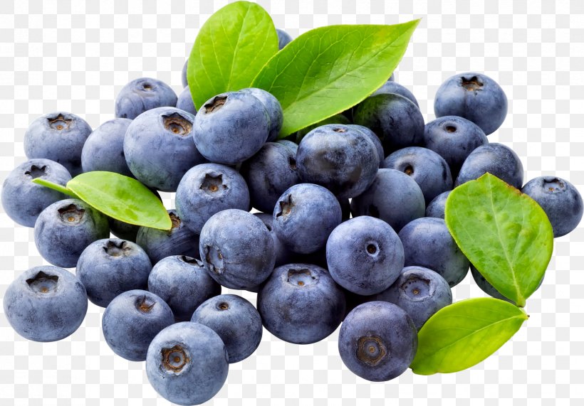 Juice Muffin Blueberry Clip Art, PNG, 1658x1156px, Juice, Aristotelia Chilensis, Berry, Bilberry, Blueberry Download Free