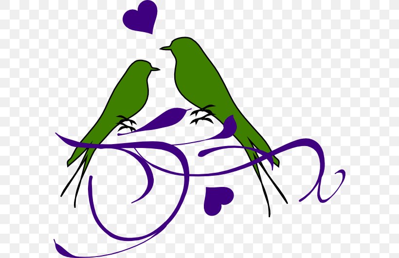 Lovebird Clip Art, PNG, 600x530px, Lovebird, Area, Art, Artwork, Beak Download Free