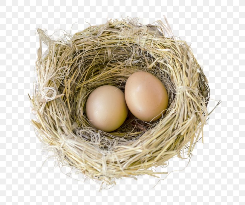 Bird Egg Bird Nest, PNG, 768x689px, Egg, Beak, Bird, Bird Egg, Bird Nest Download Free