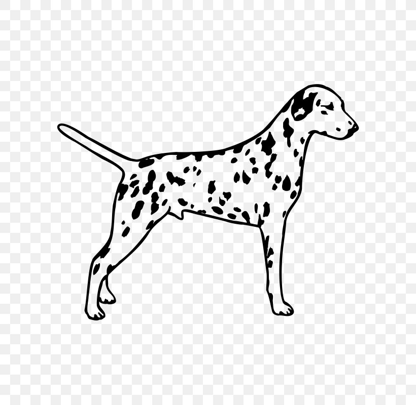 Dalmatian Dog Puppy Bull Terrier The 101 Dalmatians Musical Clip Art, PNG, 800x800px, 101 Dalmatians Musical, Dalmatian Dog, Animal, Animal Figure, Area Download Free