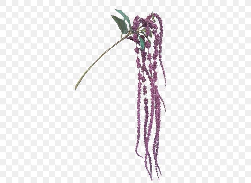 Flower Headgear Purple Feather, PNG, 800x600px, Flower, Feather, Hair Accessory, Headgear, Organism Download Free
