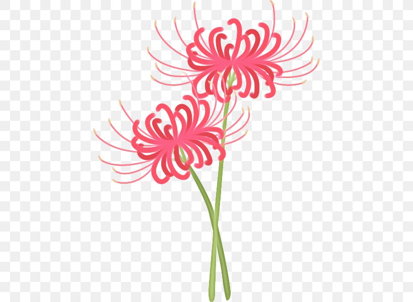 Pink Flower Cartoon, PNG, 600x600px, Flower, Art, Botany, Chrysanthemum, Cut Flowers Download Free