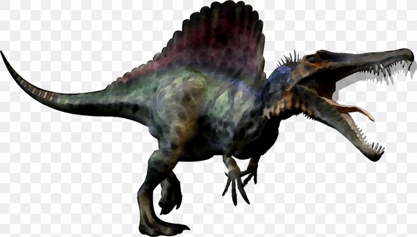 Tyrannosaurus Dinosaur Size Transparency, PNG, 1405x799px, Tyrannosaurus, Animal Figure, Animation, Cryptid, Dinosaur Download Free