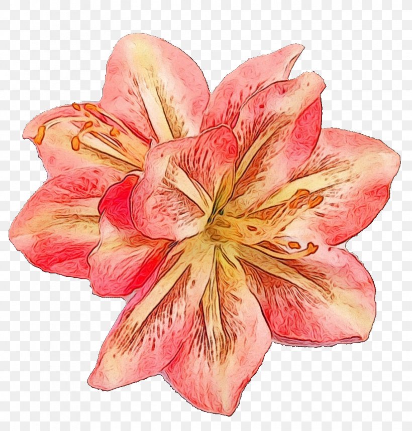 Watercolor Pink Flowers, PNG, 1145x1200px, Lily, Amaryllis, Amaryllis Belladonna, Azalea, Blossom Download Free