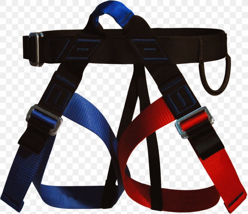 Climbing Harnesses Canyoning Single-rope Technique Speleology, PNG, 1600x1382px, Climbing Harnesses, Abseiling, Anchor, Belay Rappel Devices, Belt Download Free