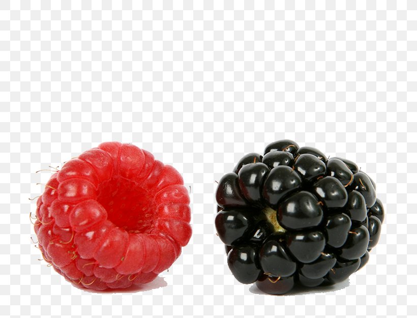 Frutti Di Bosco Blackberry Raspberry, PNG, 800x625px, Gooseberry, Aggregate Fruit, Berry, Black Raspberry, Blackberry Download Free