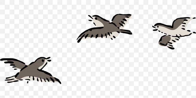 Bird Clip Art Flight Openclipart Drawing, PNG, 1280x640px, Bird, Airplane, Beak, Bird Flight, Bird Of Prey Download Free