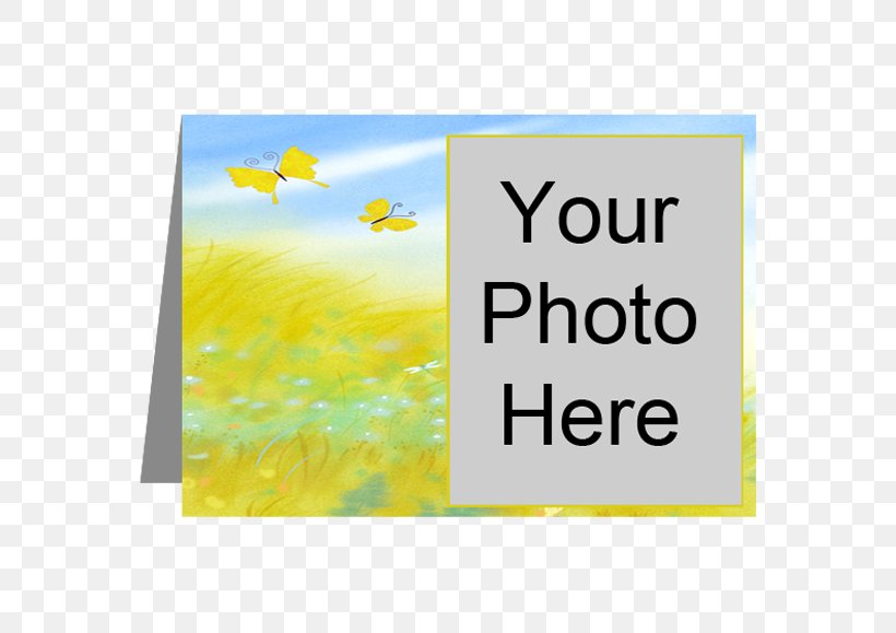 Greeting & Note Cards Picture Frames Grab Bar Font Rectangle, PNG, 576x579px, Greeting Note Cards, Area, Flower, Grab Bar, Greeting Download Free