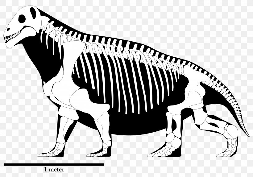 Moschops Tyrannosaurus Permian Ulemosaurus Skeleton, PNG, 4000x2800px, Moschops, Beak, Black And White, Carnivoran, Dinocephalia Download Free