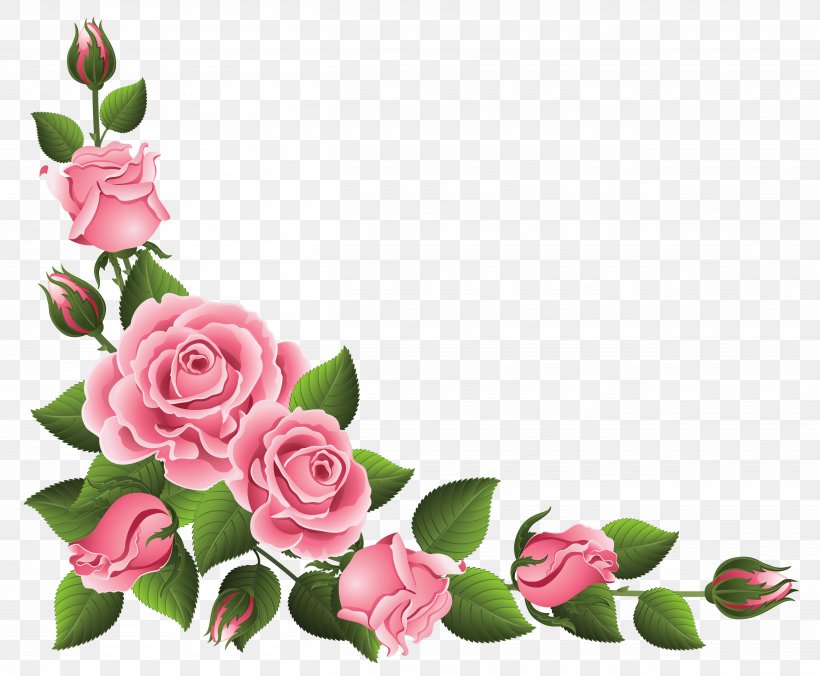 Rosa Chinensis Flower Pink Clip Art, PNG, 5057x4175px, Rosa Chinensis, Cut Flowers, Floral Design, Floristry, Flower Download Free