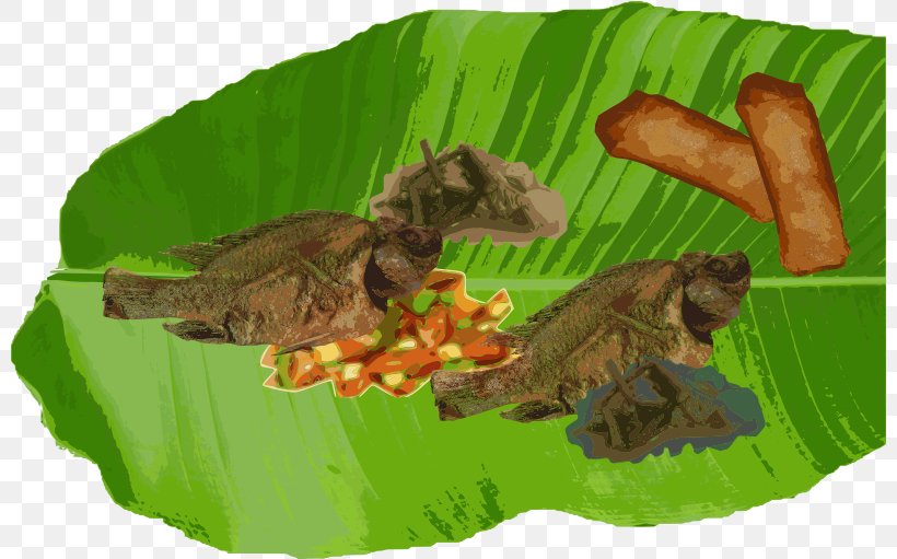 Boodle Fight Filipino Cuisine Food Banana Leaf, PNG, 800x511px, Boodle Fight, Banana Leaf, Boxing, Eating, Ecosystem Download Free