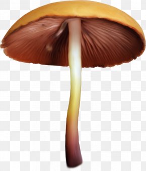 Mushrooms - Edible Mushroom Fungus Aspen Mushroom Clip Art PNG