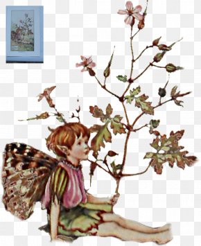 The Fairy Scatters Flowers - Fairy The Book Of The Flower Fairies Flower Fairies Of The Wayside Cottingley Fairies PNG