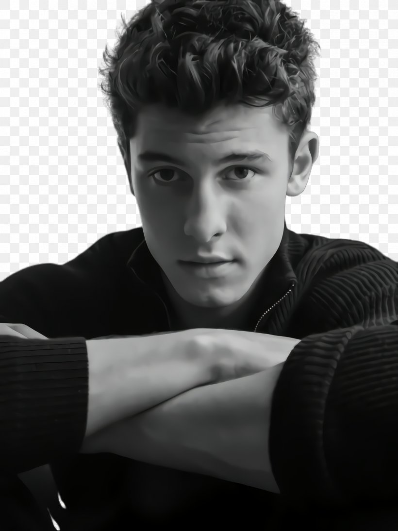 Hair Style, PNG, 1732x2308px, Shawn Mendes, Actor, Arm, Biography, Black Hair Download Free