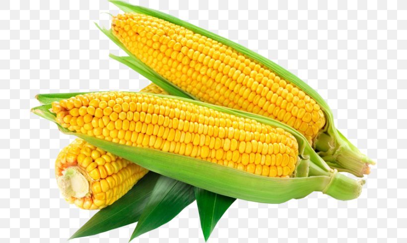 Vegetable Cartoon, PNG, 700x490px, Maize, Calcium, Corn, Corn Kernel, Corn Kernels Download Free