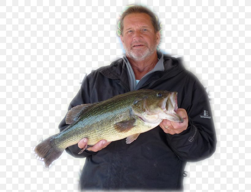 09777 Fishing Trout Salmon Cod, PNG, 630x627px, Fishing, Barramundi, Bass, Bass Guitar, Cod Download Free