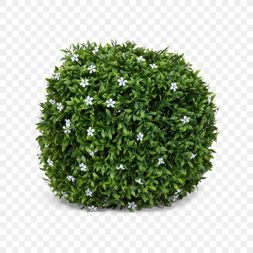 3D Computer Graphics 3D Modeling Shrub TurboSquid, PNG, 1600x1600px, 3d Computer Graphics, 3d Modeling, Animation, Autodesk 3ds Max, Box Download Free