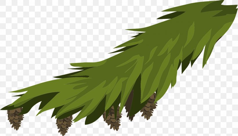 Branch Leaf Evergreen Fir Pine, PNG, 1280x732px, Branch, Conifer Cone, Evergreen, Fir, Grass Download Free