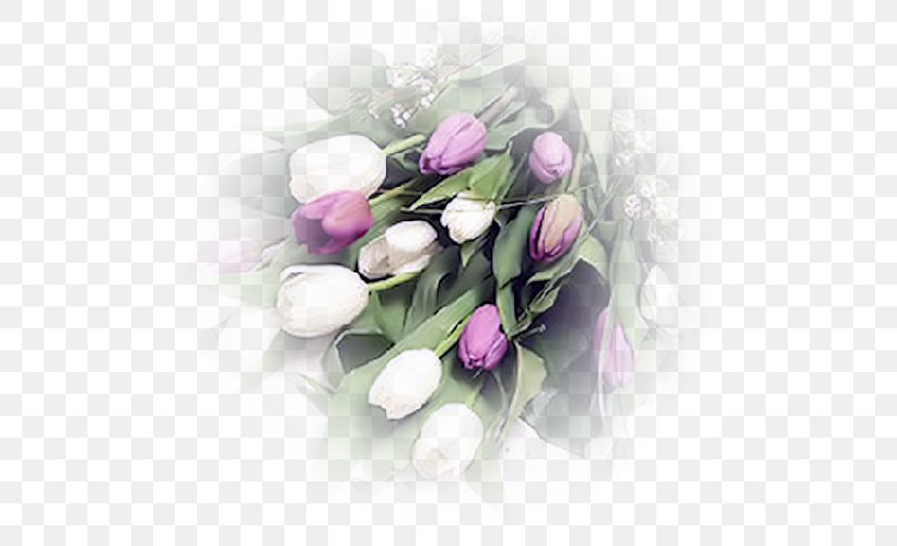 Cut Flowers Flower Bouquet Lady Tulip, PNG, 500x499px, Cut Flowers, Artificial Flower, Blog, Conrad Gessner, Floral Design Download Free