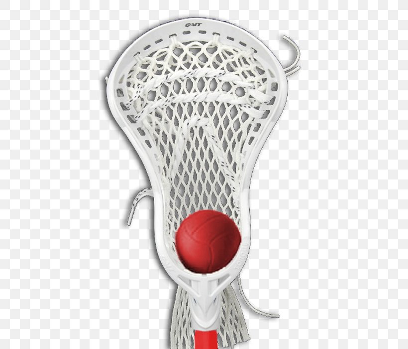 Field Lacrosse Rain Lacrosse Sticks Sport, PNG, 700x700px, 3d Computer Graphics, Field Lacrosse, Athletics Field, Img Academy, Irrigation Download Free